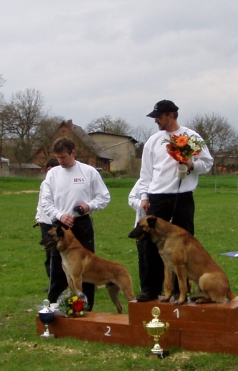 Die zwei starter der Hundeschule Stiller belegten auf der Landesmeisterschaft den ersten und zweiten Platz. Für die Hundeschule ein riesen Erfolg. Die zwei starter der Hundeschule Stiller belegten auf der Landesmeisterschaft den ersten und zweiten Platz. Für die Hundeschule ein riesen Erfolg.
