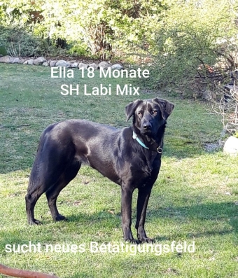 Ella Ella