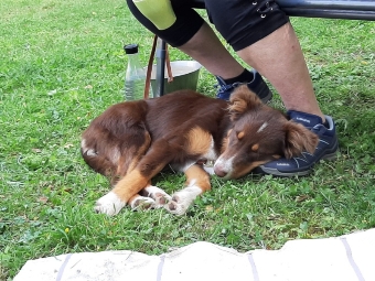 Lernen ist anstrengend. Lernen ist anstrengend.