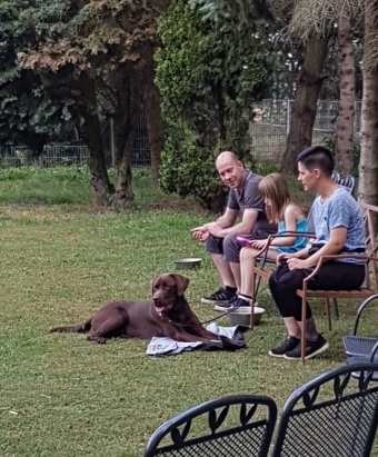 Familienhund Erziehung Familienhund Erziehung