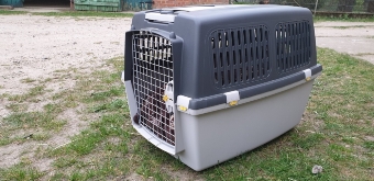 Hundetransportbox für kleine bis mittlere Hunde. Hundetransportbox für kleine bis mittlere Hunde.