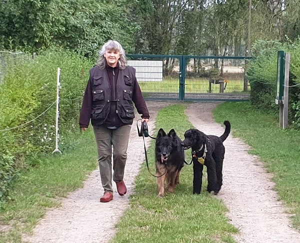 Hundeschule Stiller Tierpension
