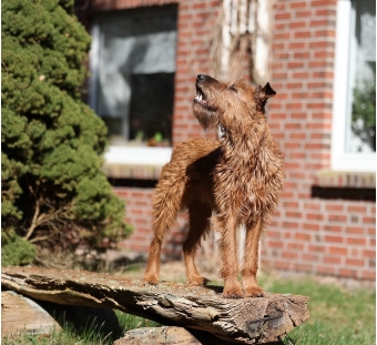 Endlich Sonne, (Fotograf Edgar Stiller) Endlich Sonne, (Fotograf Edgar Stiller)