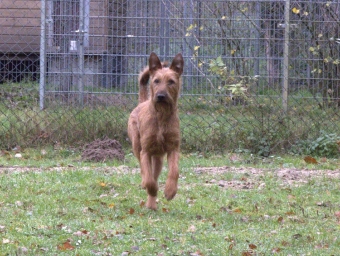 Hallo wir dürfen Einzeltraining anbieten. Hallo wir dürfen Einzeltraining anbieten.