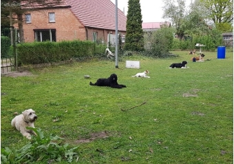 Große Gruppe, alle unter Kontrolle.