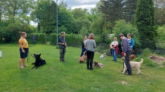 Hundetraining braucht auch theoretisches Wissen