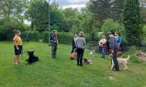 Hundetraining braucht auch theoretisches Wissen