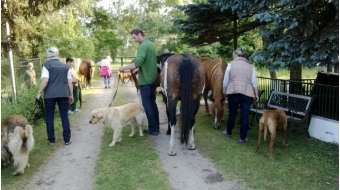 Die Hunde haben gelernt, entspannt unter Kontrolle zu bleiben.