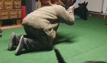 Hundetraining kann auch Spaß machen.