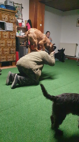 Hundetraining kann auch Spaß machen.