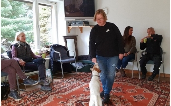 Jupp lernt zwei Pfoten auf einen Hocker zu stellen.