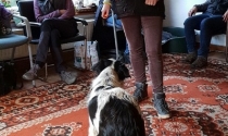 In Erinnerung an Stefi, eine unserer besten Schülerin in der Hundeschule. Hier beim üben mit Merlien.