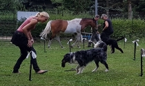 Freie Arbeit, alle konzentrieren sich auf`s eigene Team.