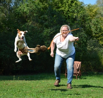 Terrier im freien Spiel