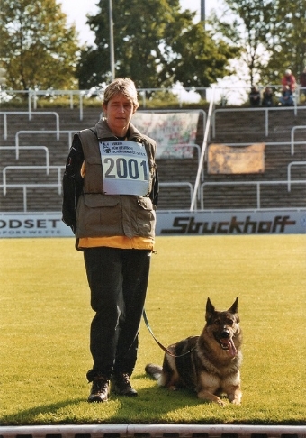 Deutsche Meisterschaft für Deutsche Schäferhunde.