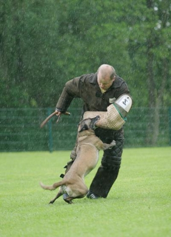 Kira zeigt hier großen Kampftrieb und Härte.