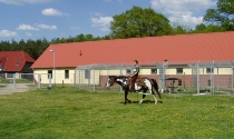 Kontrollritt mit Kachina in unserer alten Hundeschule bei Ludwigslust.