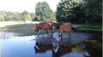 Juli 2017, genug Wasser.