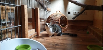 Die Kleine beobachtet pfiffig das Geschehen. Die Kleine beobachtet pfiffig das Geschehen.