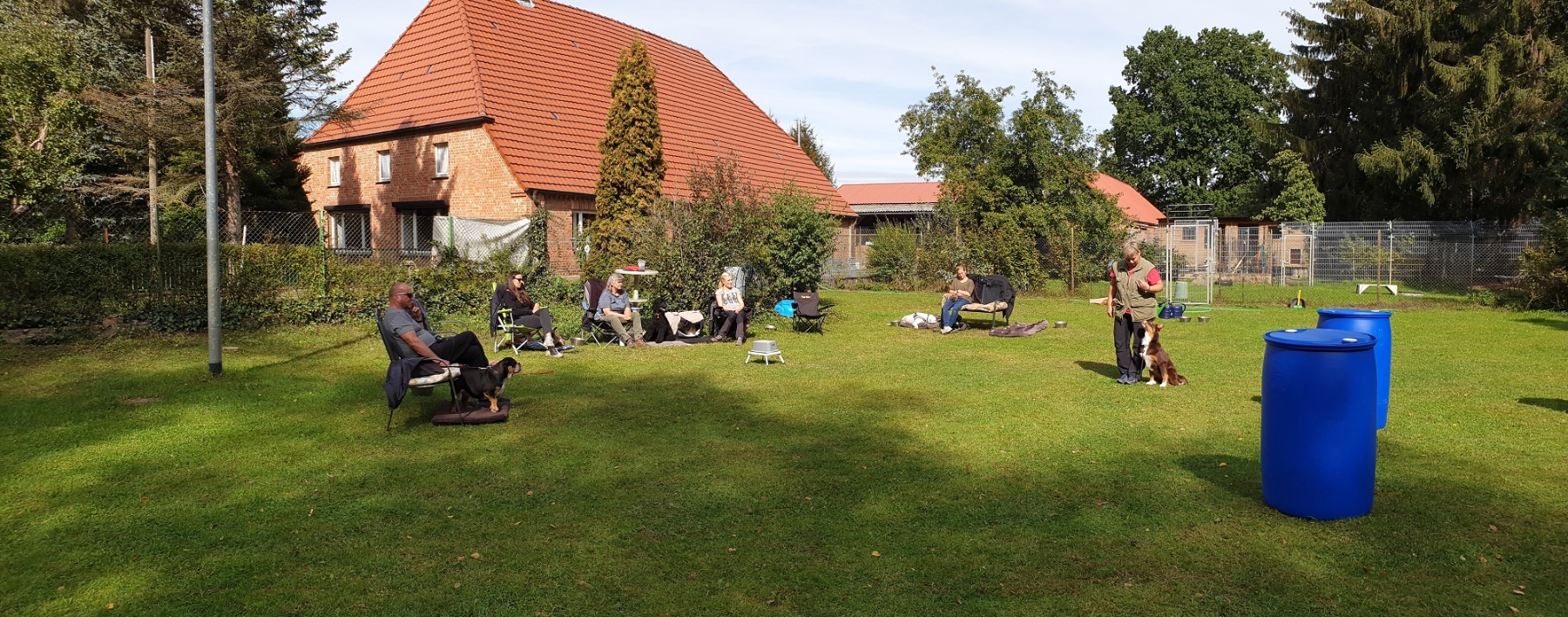 Hundetraining intensiv