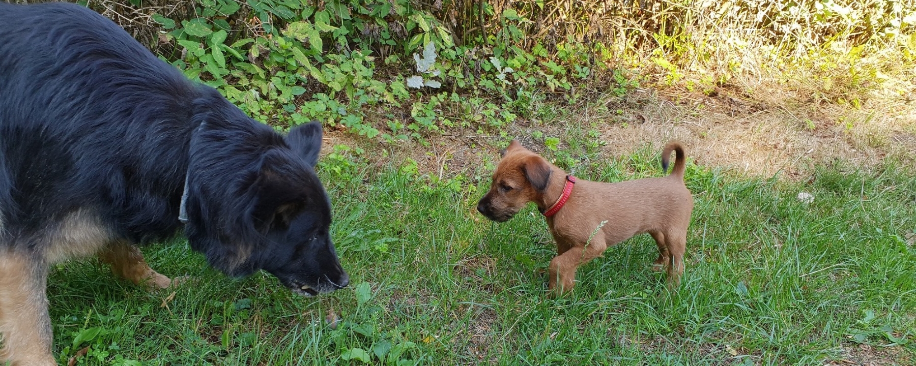 Boa sagt der kleinen Uni, bitte Abstand halten.