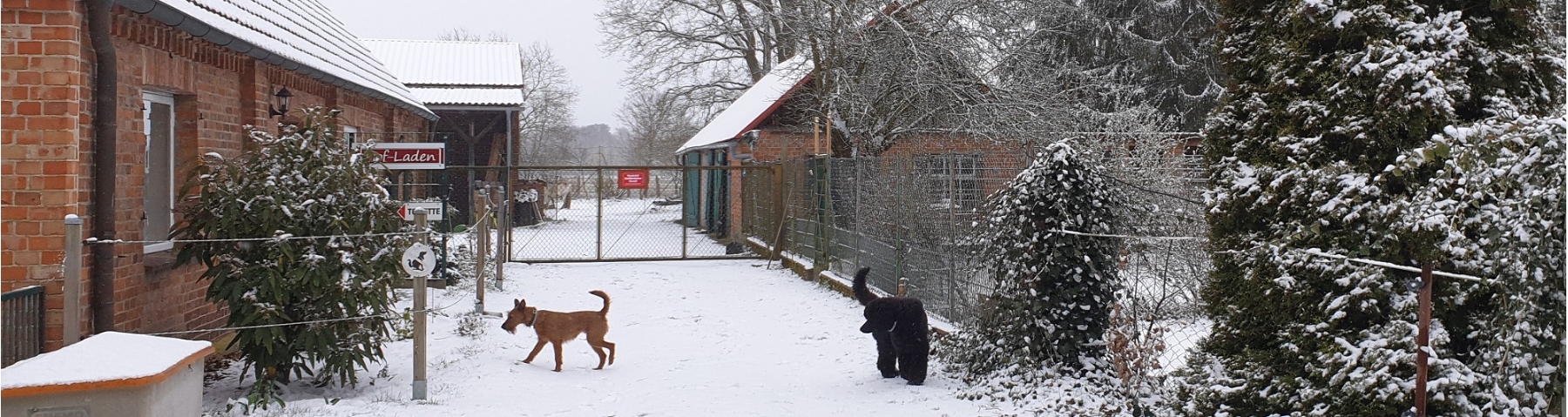 Hundeschule Winter
