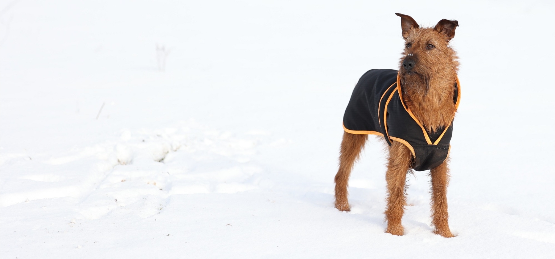 Uni im Winter