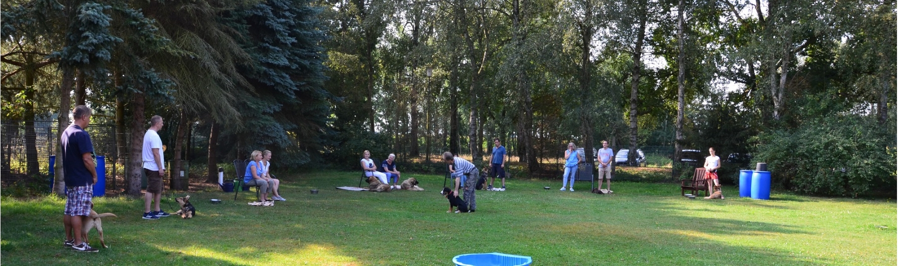 Welpen- und Junghundgruppe im Unterricht.