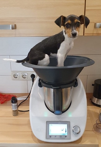 Hab ich zugenommen? Hab ich zugenommen?