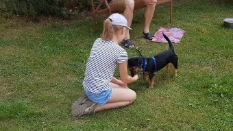 Kinder sind noch natürlich mit Hunden. Kinder sind noch natürlich mit Hunden.