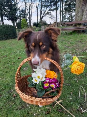 Ostern Ostern