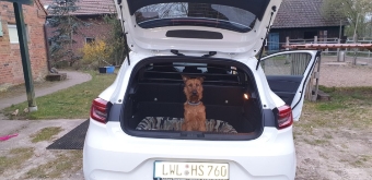 Juni unaufgeregt Juni unaufgeregt